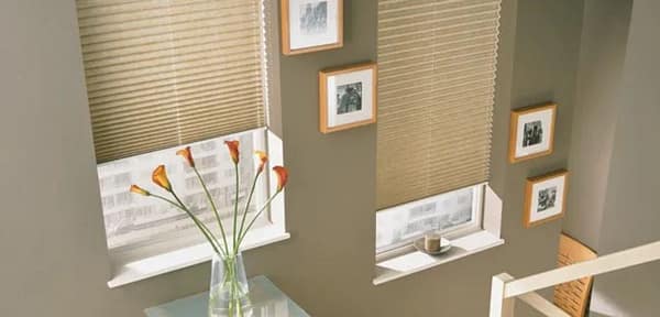 pleated blind